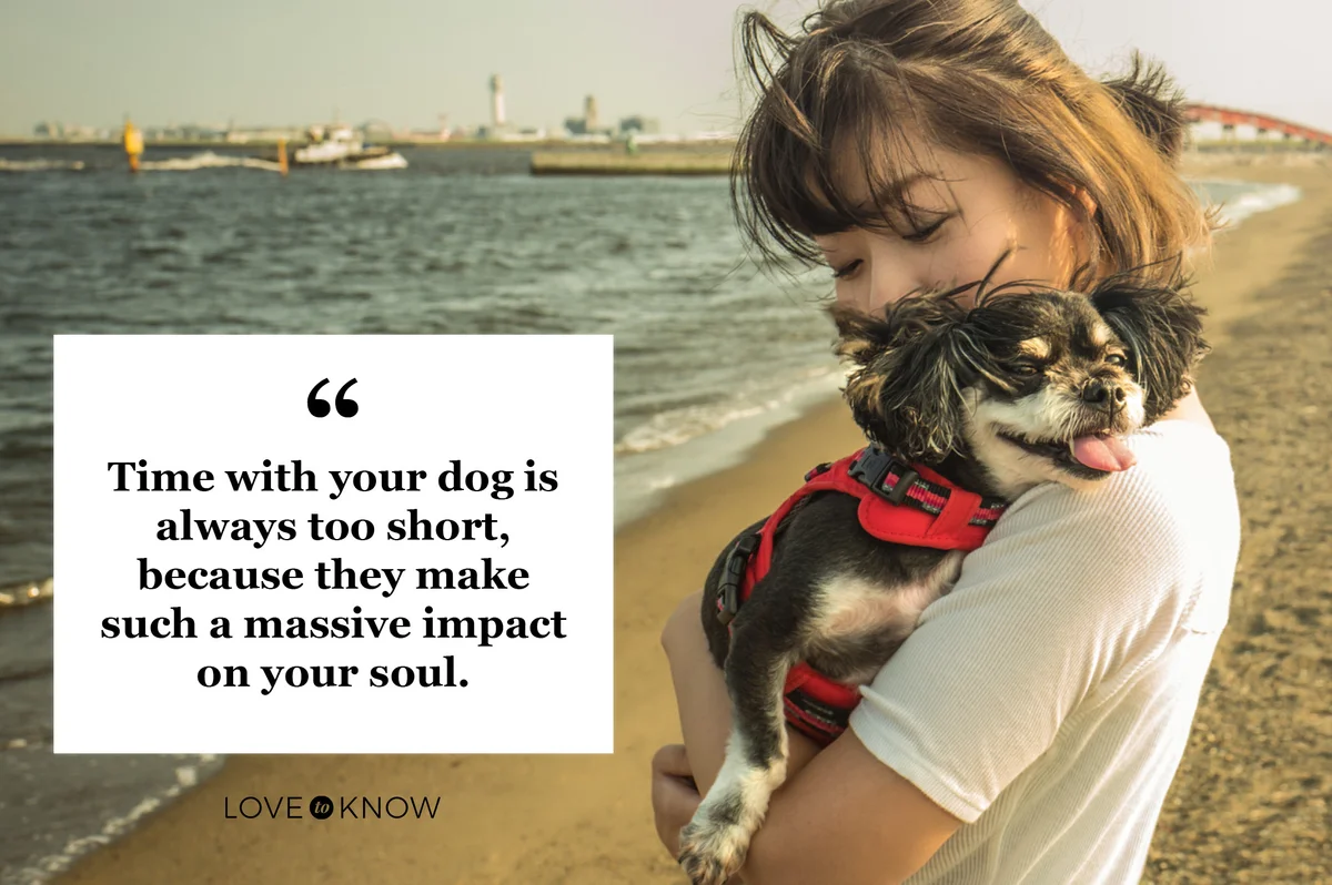 woman hugging dog at the beach