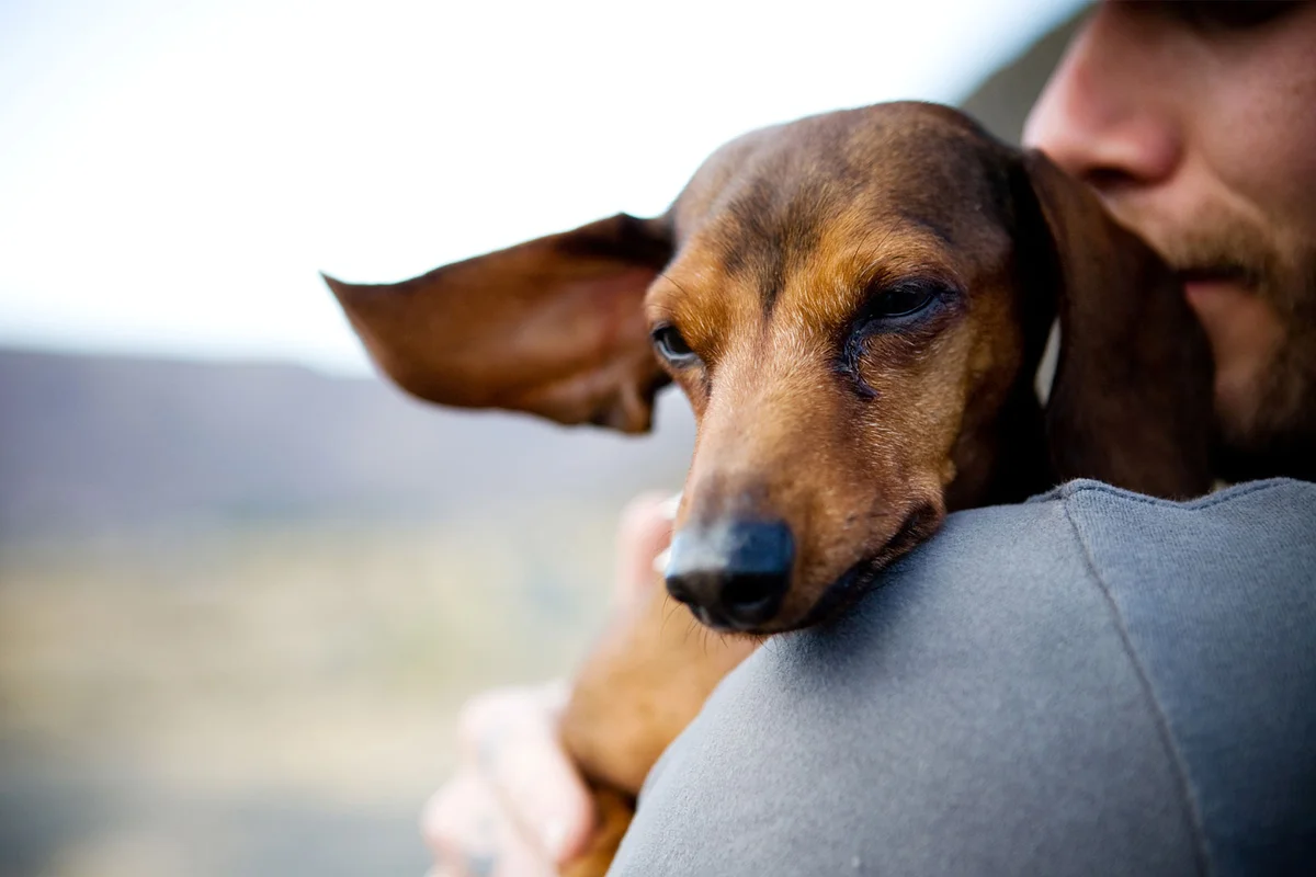 man holding dog
