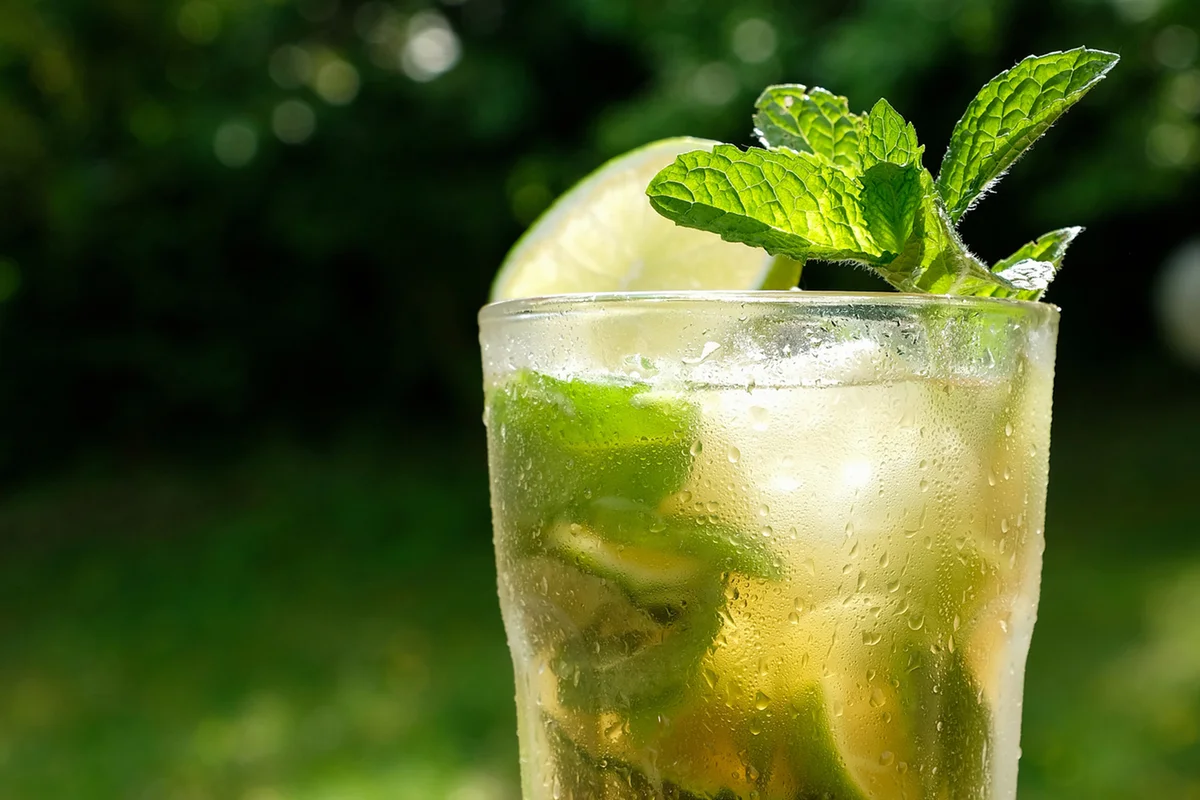 Peach Whiskey Mule Ice Cubes, Pepper Mint Leaves, And Ice Cubes