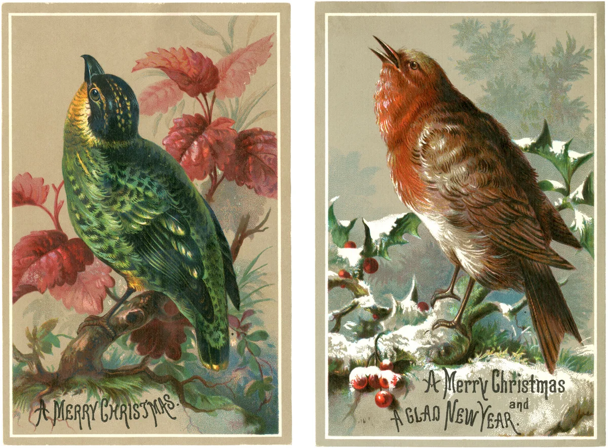 vintage bird holiday postcard