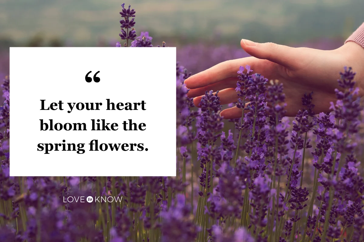 Woman touching lavender flowers
