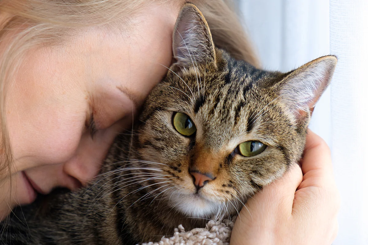 A woman holds a Cat in her arms and hugs it