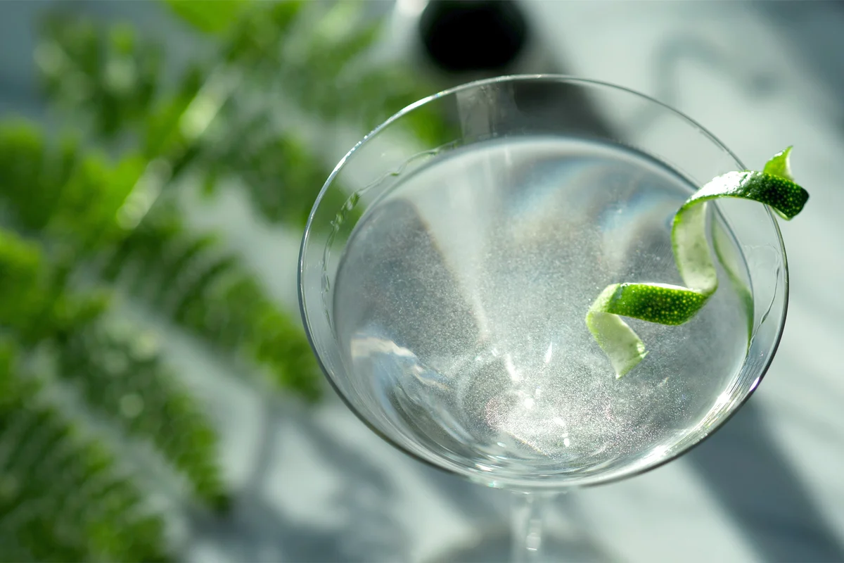 Classic Prohibition Style Martini