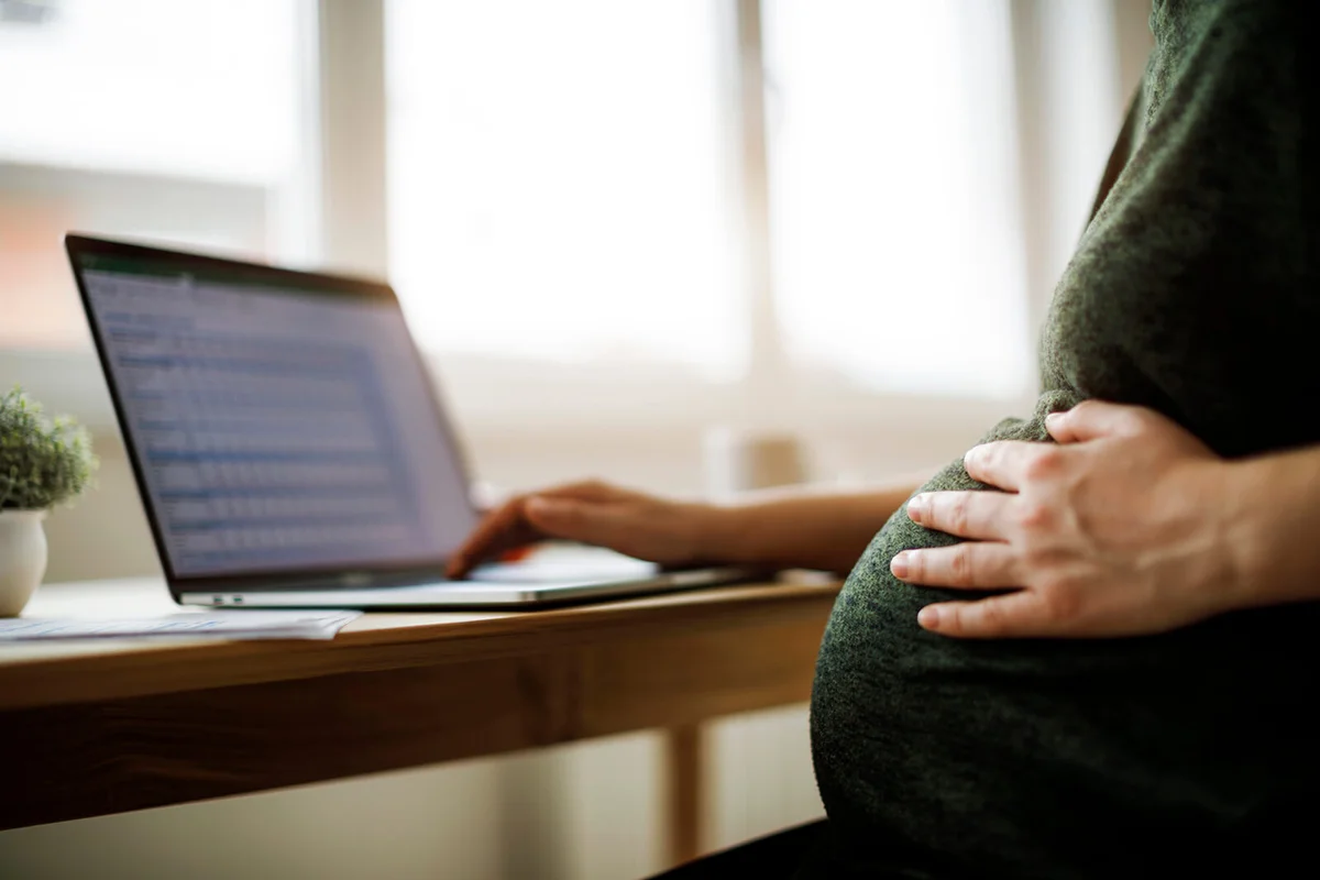 Pregnant woman using laptop - stock photo