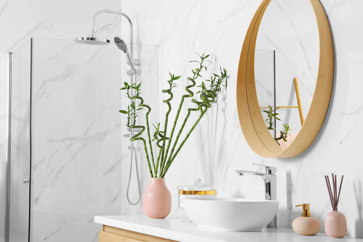 lucky bamboo on counter in bathroom
