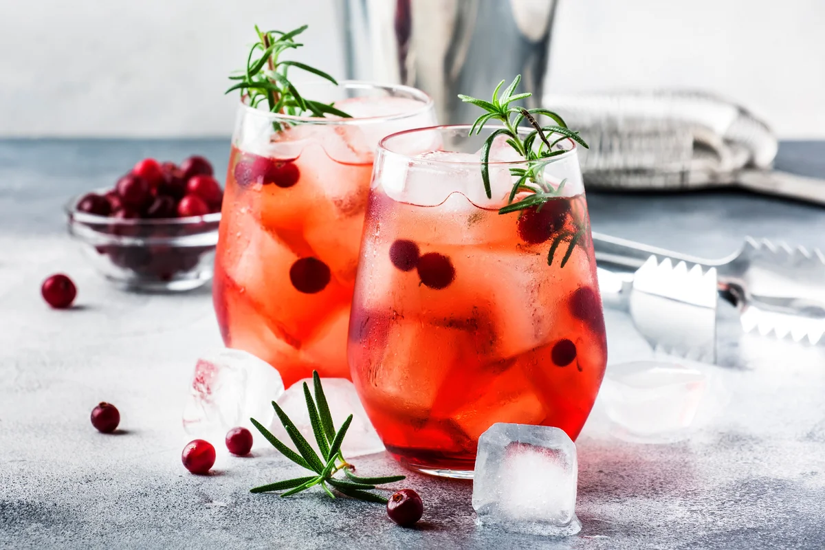 Rosemary Simple Syrup Gin Fizz Cocktail will impress all of your guests