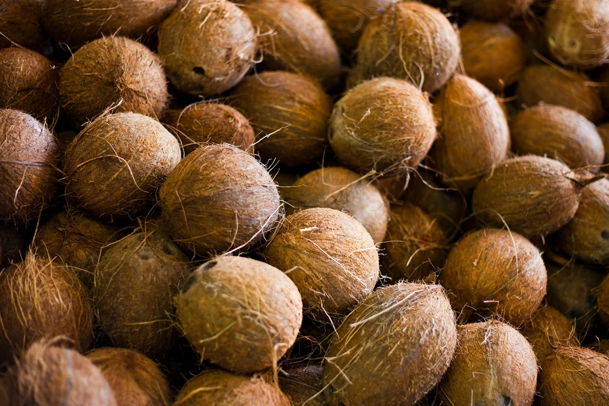 Coconuts