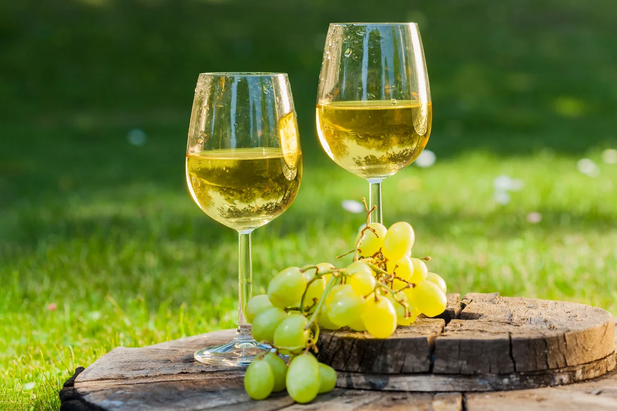 Chablis glasses with grapes on old wooden table