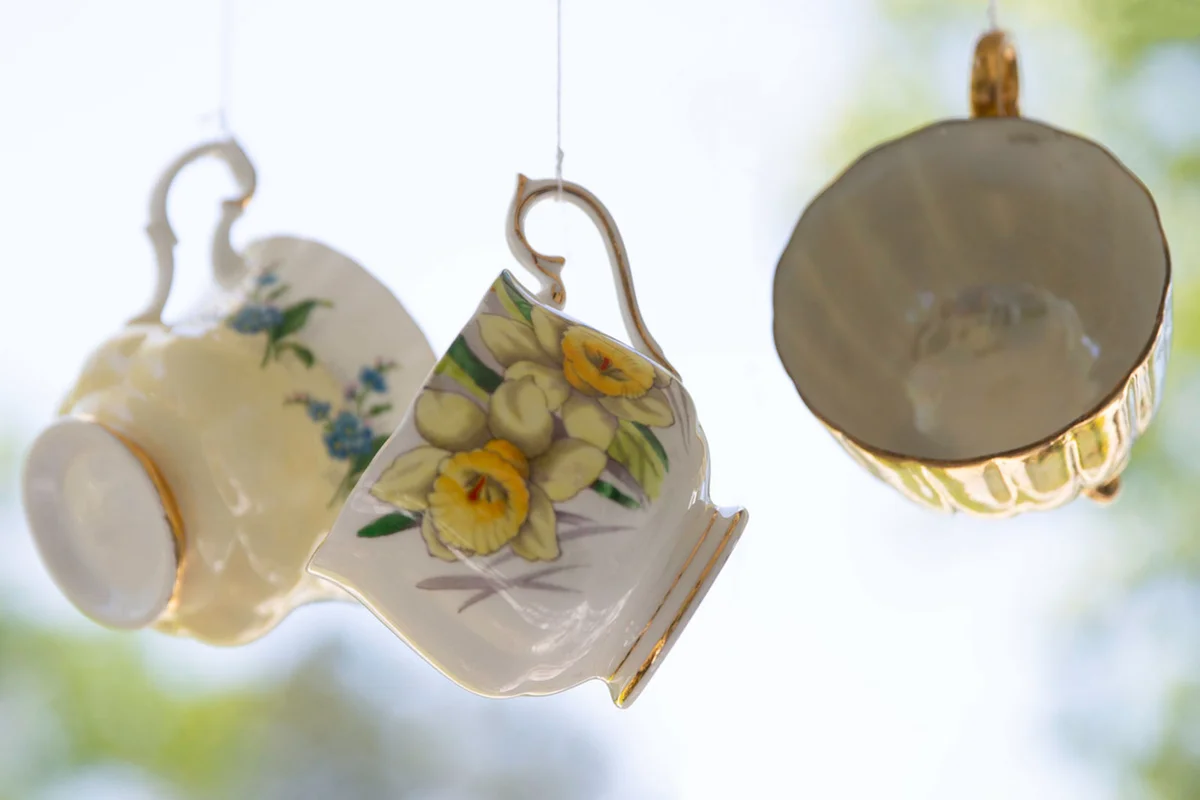teacups in sunlight