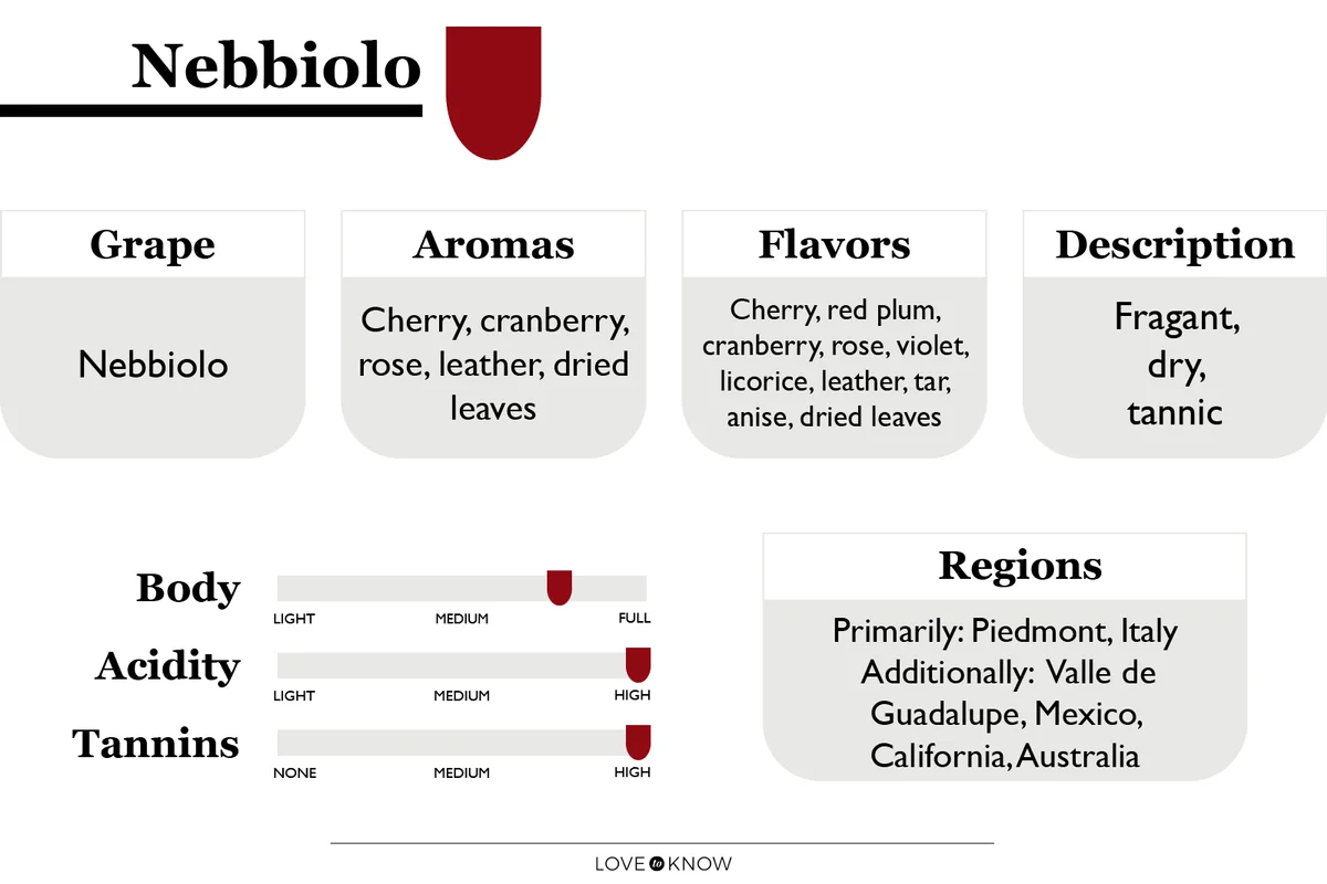 Nebbiolo profile and characteristics