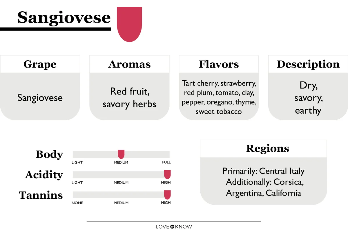 Sangiovese wine characteristics infographic