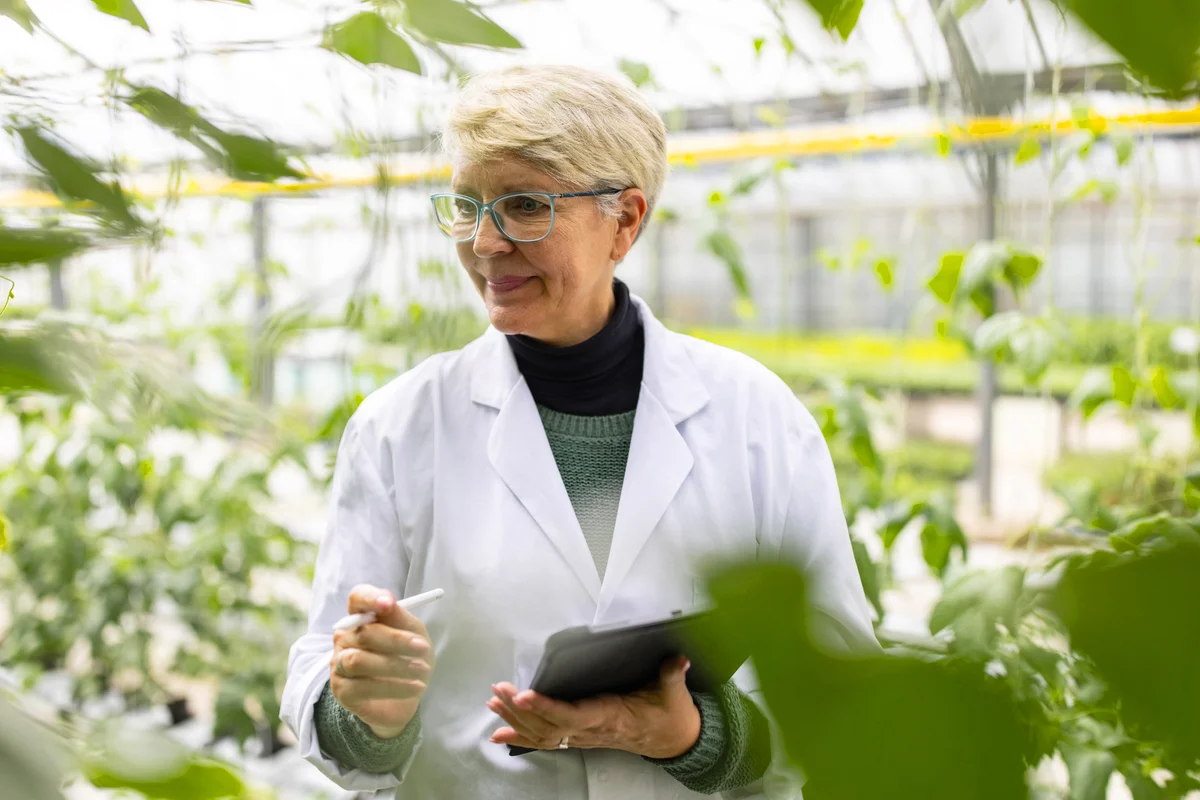 Technician checking plants in the commercial greenhouse