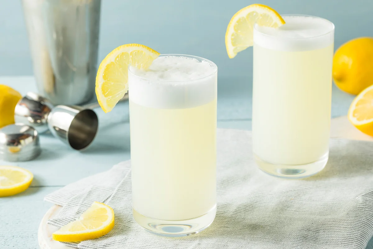Refreshing Cold Gin Fizz with a Lemon Garnish