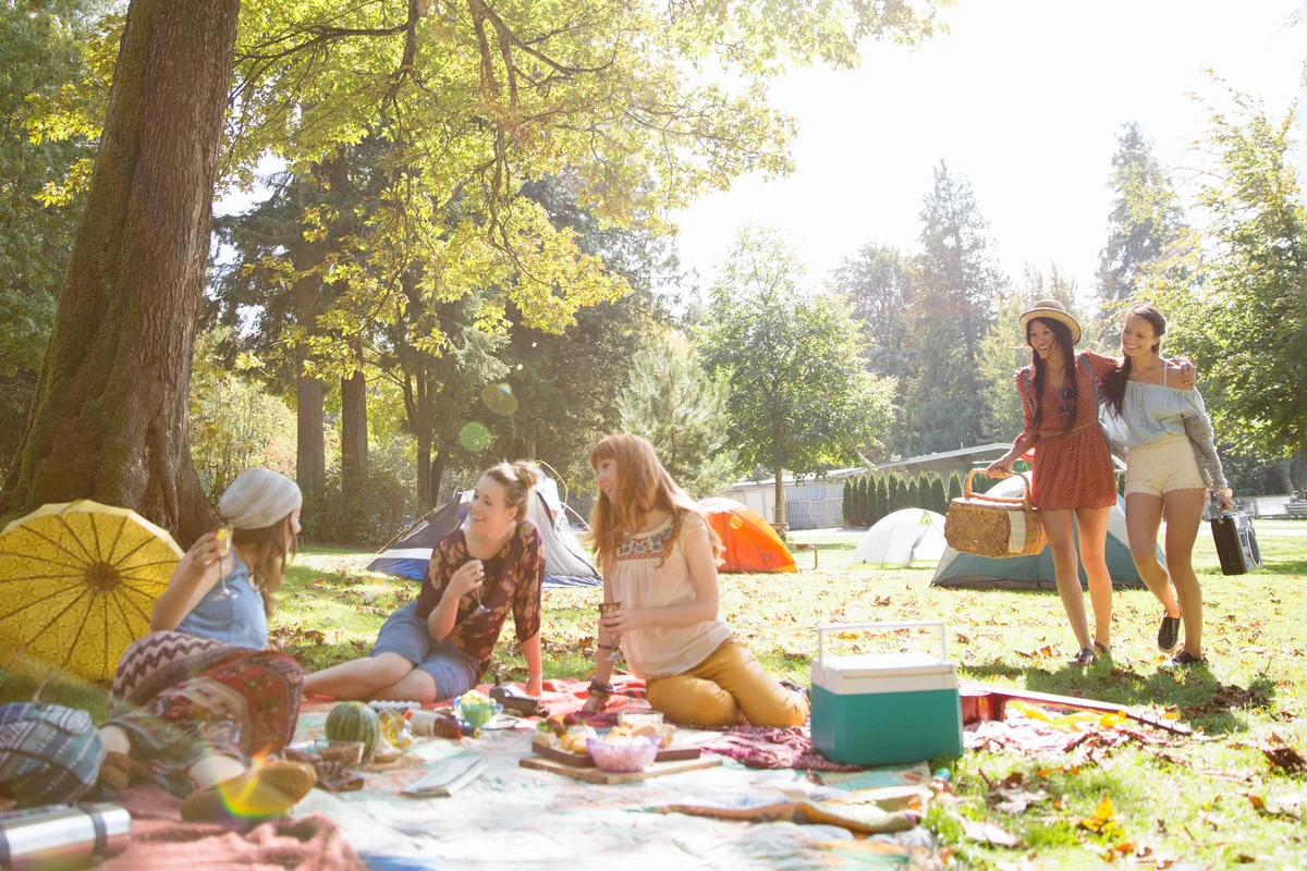 friends having a birthday picnic party