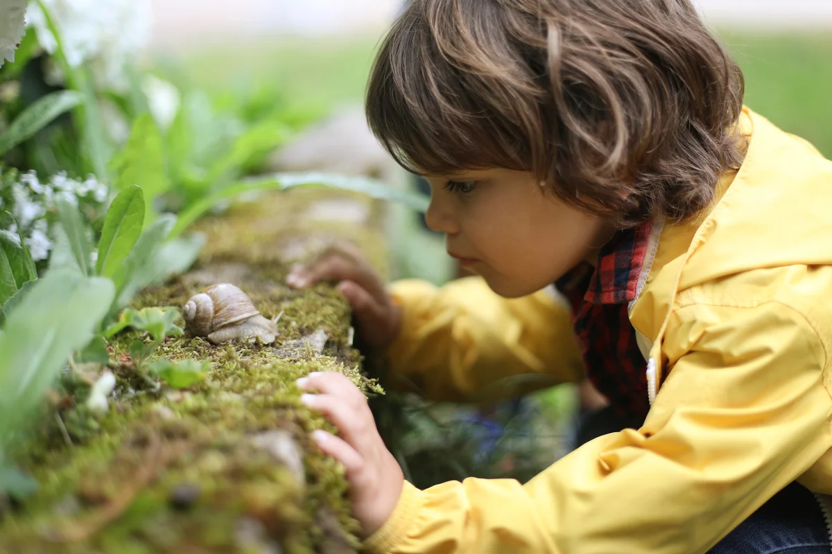 toddler boy observing snail