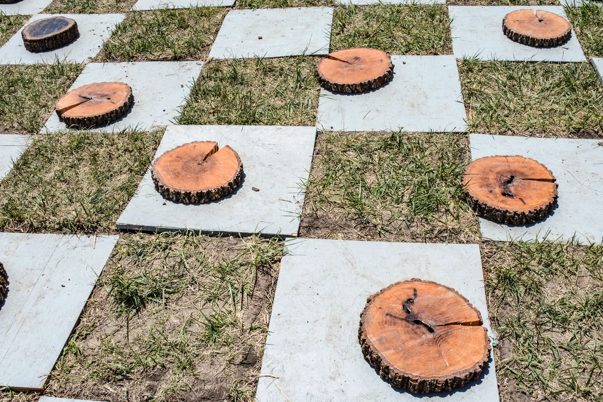 game nature checkers