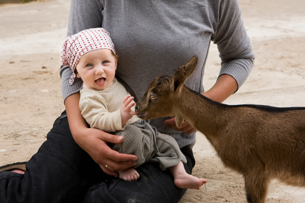 baby's first birthday at petting zoo