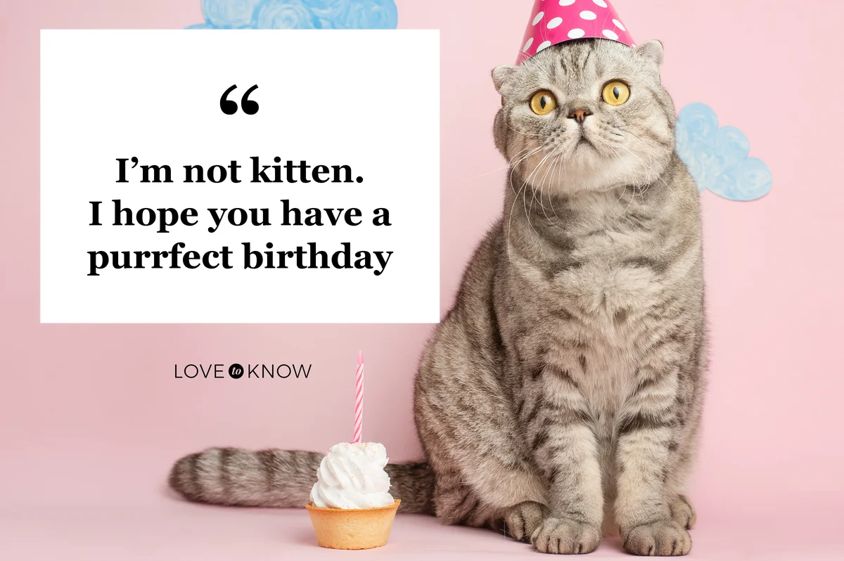 Birthday greetings from a cat