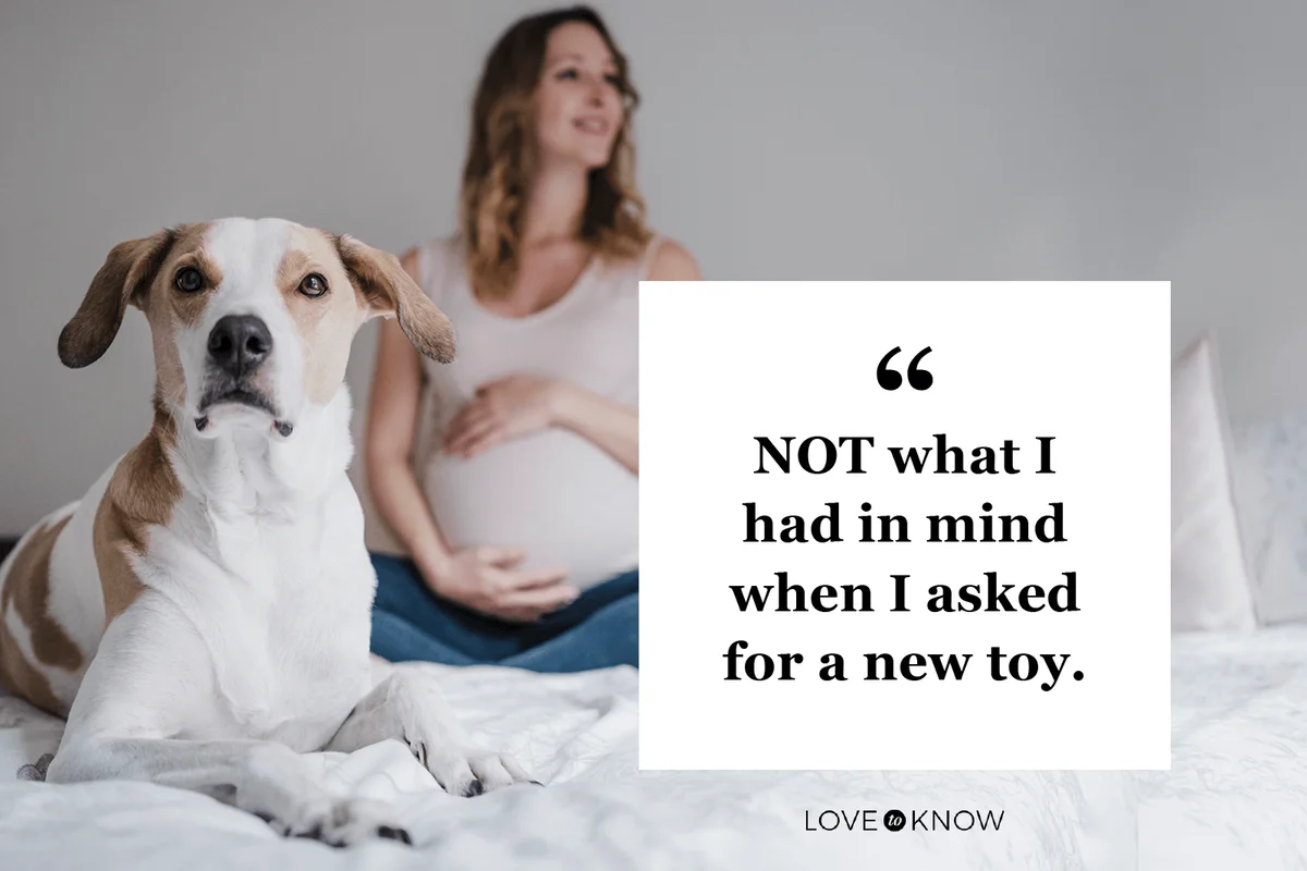 Expecting Caption or Families With Fur Babies