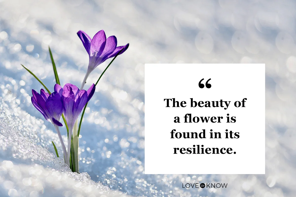 Short Flower Quote to Appreciate Nature