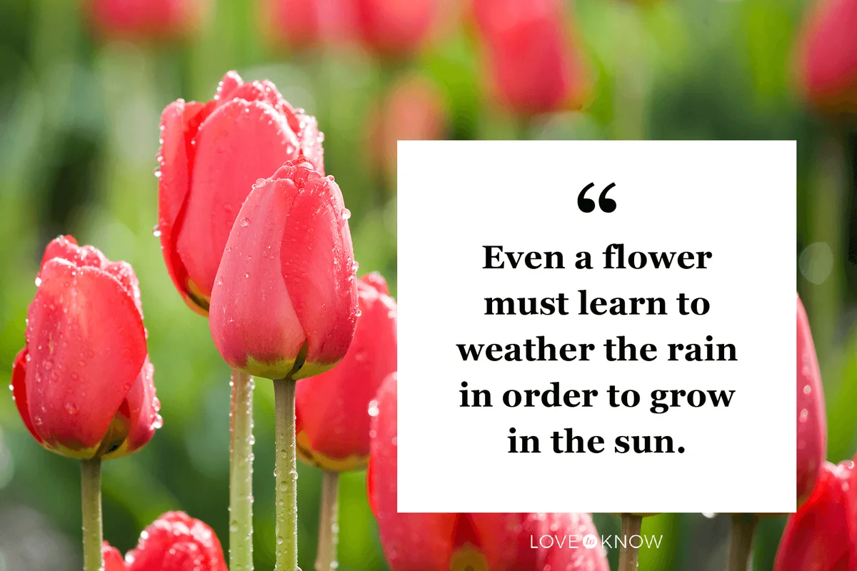 Inspirational Flower Quote to Motivate You