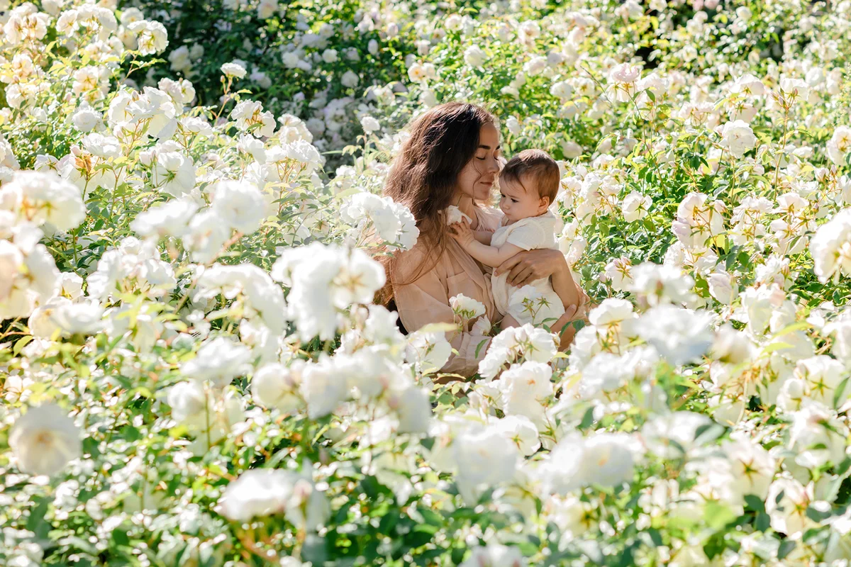 Beautiful young mother and baby girl hugging in a meadow white rose flowers on nature in summer