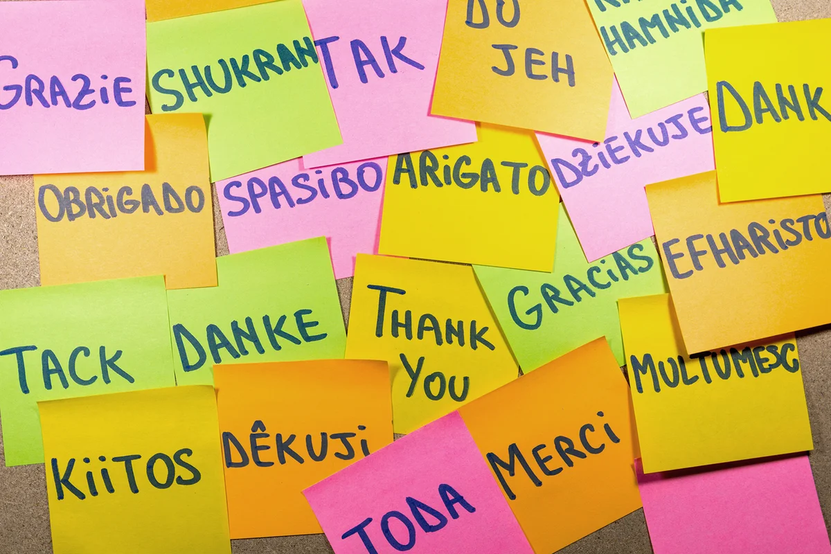 Thank you in twenty languages