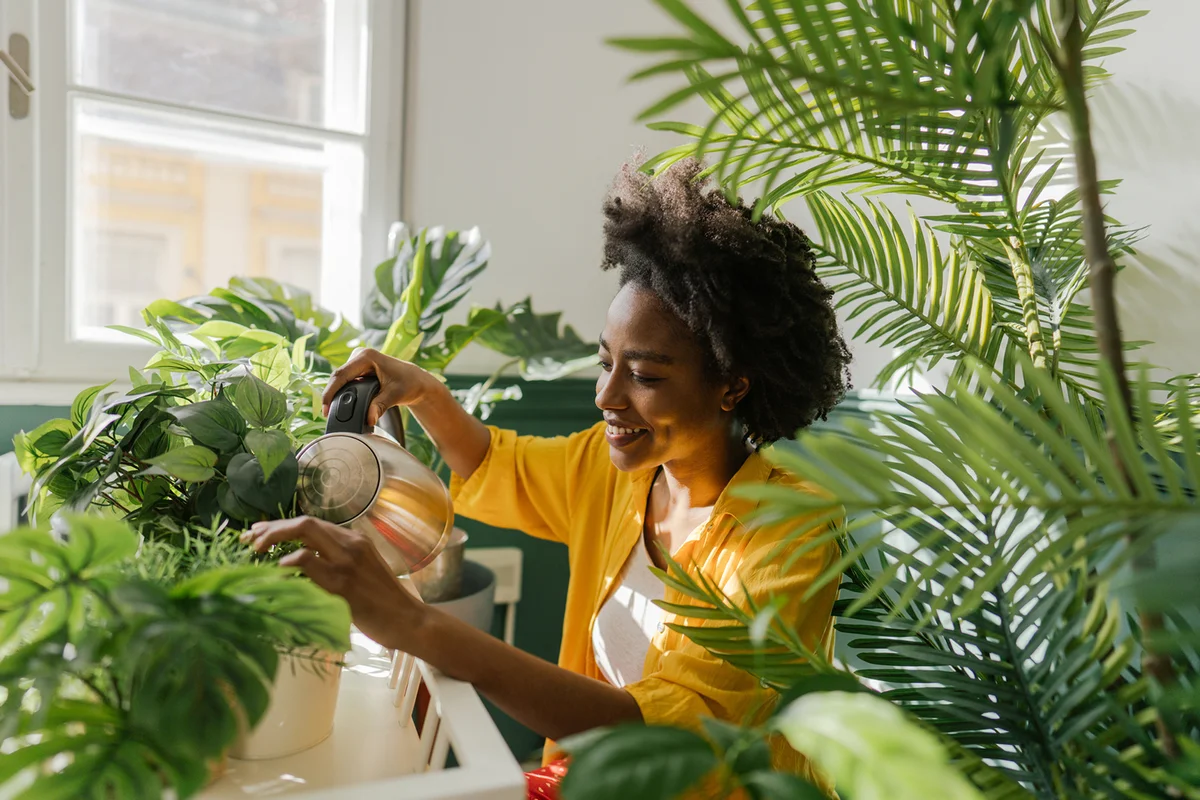 woman taking care of her houseplants