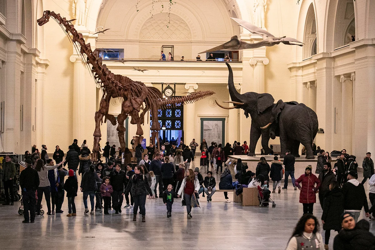 Field Museum in Chicago - Getty Editorial Use