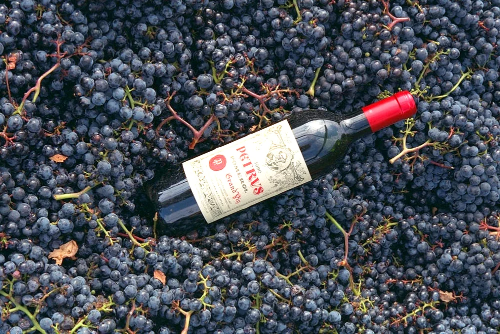 Pétrus wine with grapes
