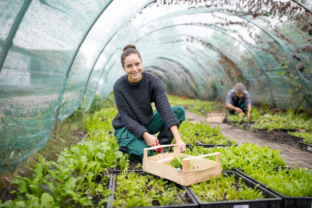 Female gardener working in garden center