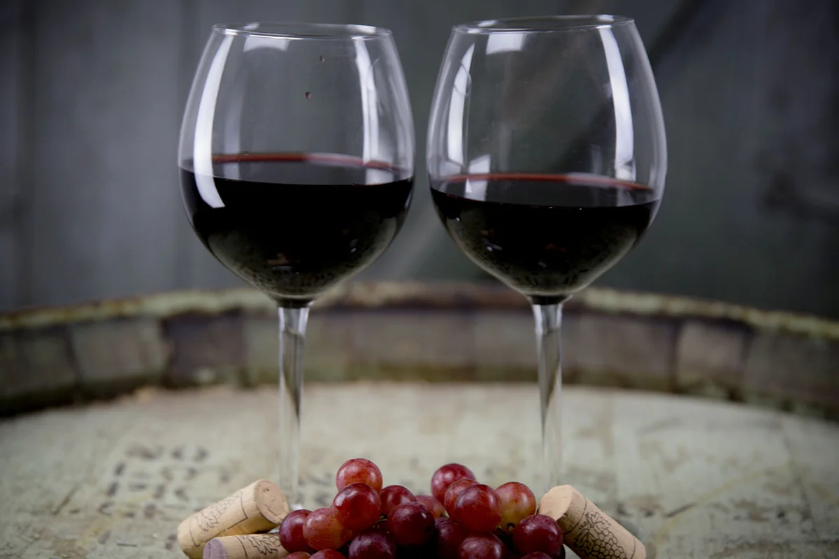 merlot wine glass shape