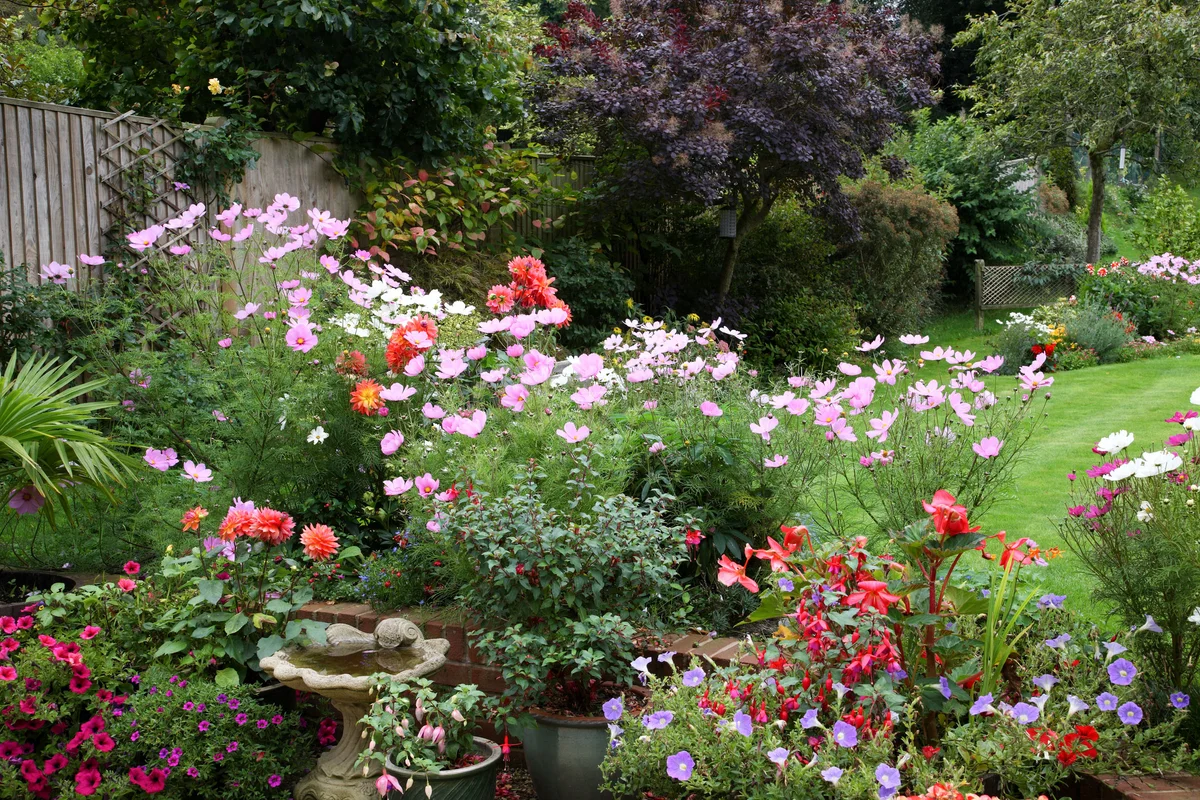 home flower garden