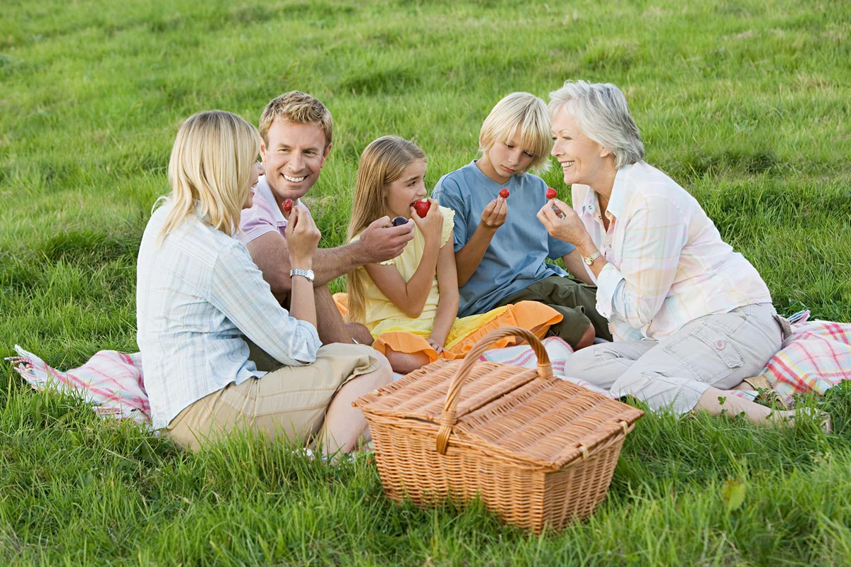 Family having a picnic