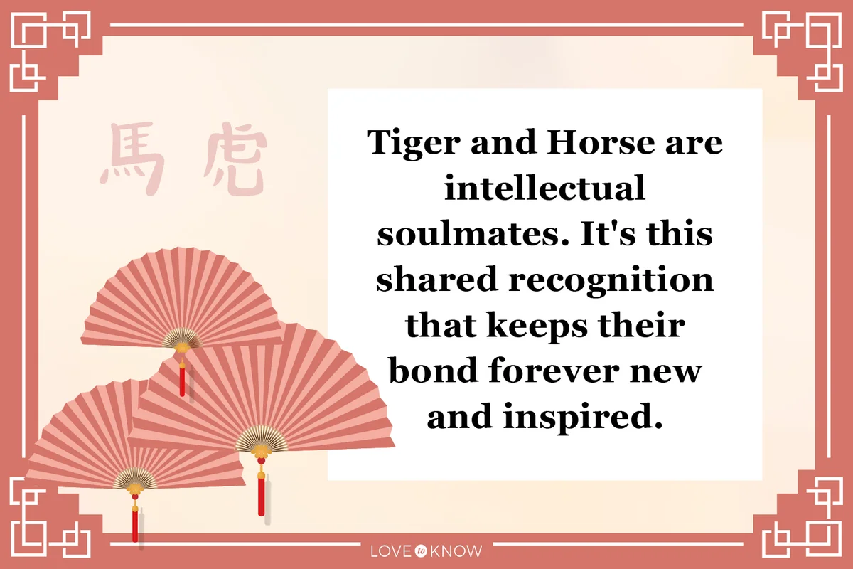 Horse and Tiger Compatibility
