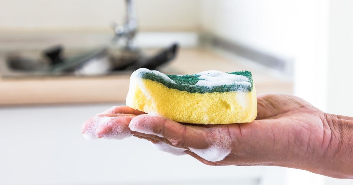 Zapping Germs Cleaning a Sponge: 4 Ways to Zap Germs