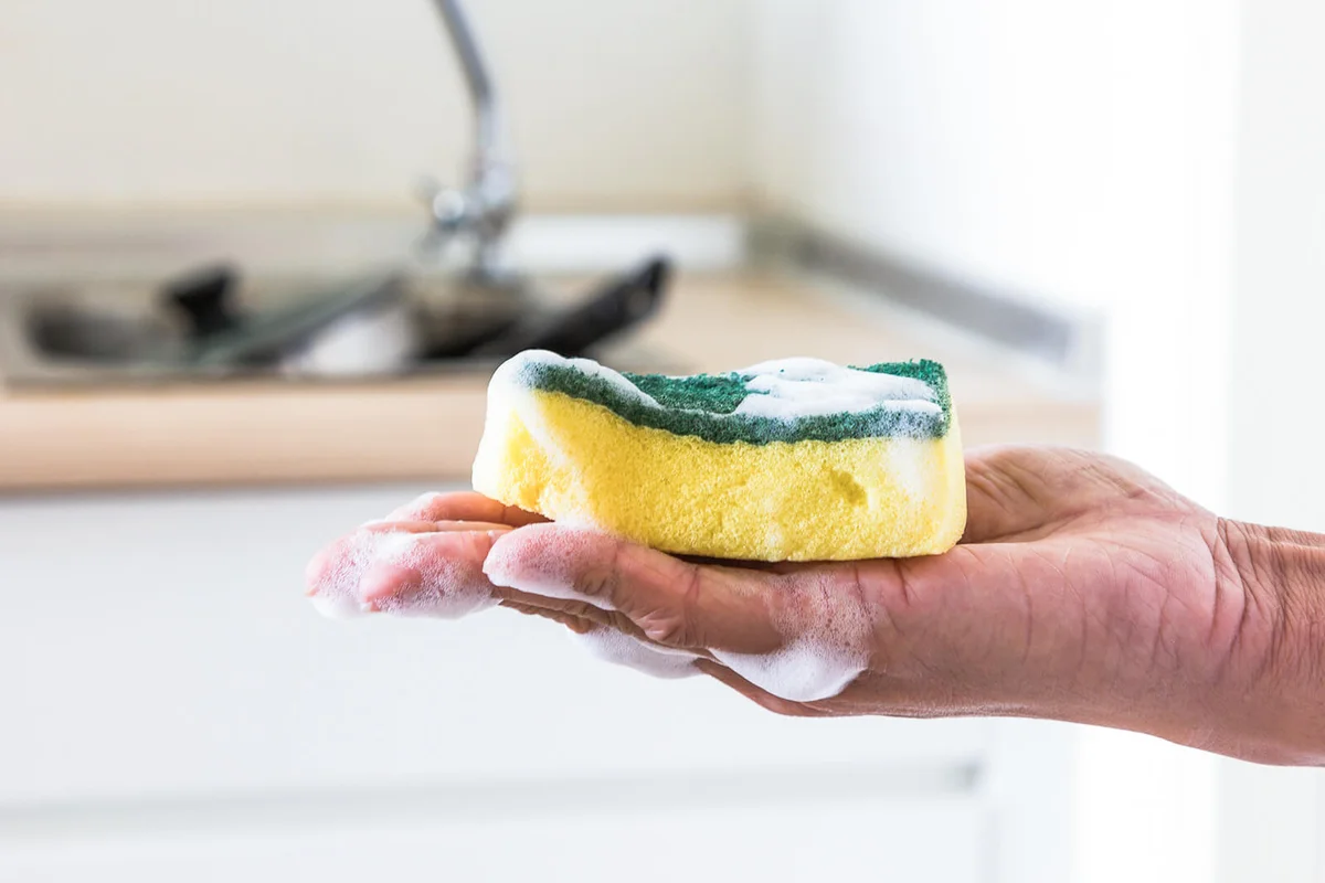 Sponge in hand with dishwasher liquid