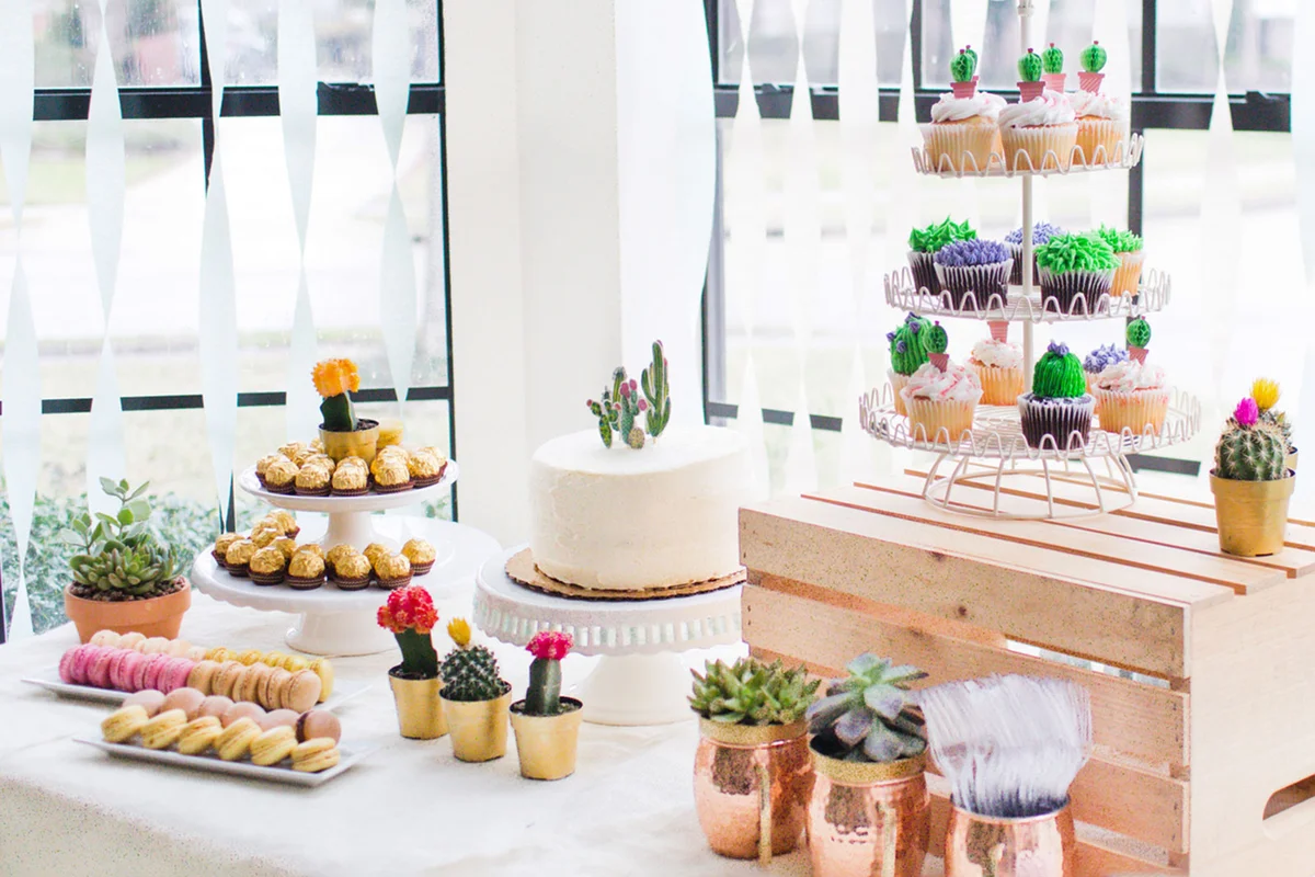 cactus theme cake and cupcakes on table