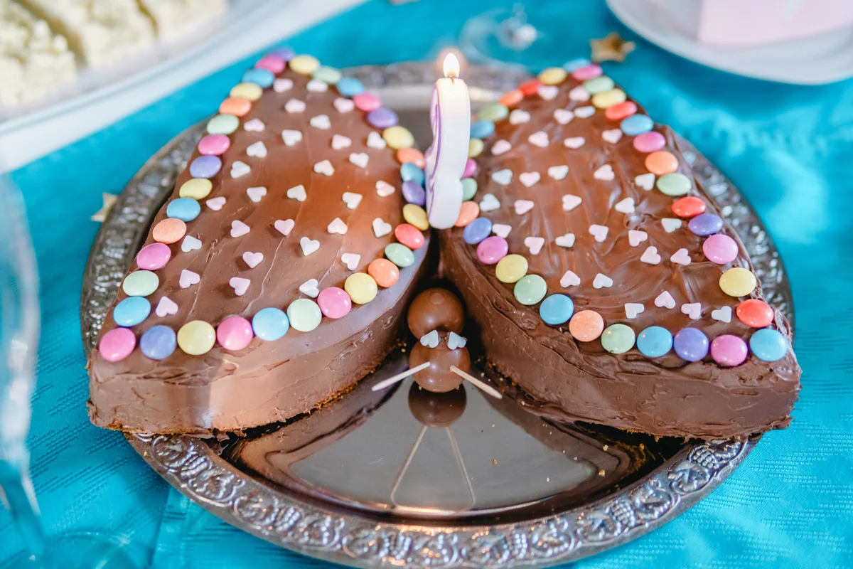 butterfly shape chocolate frosting cake