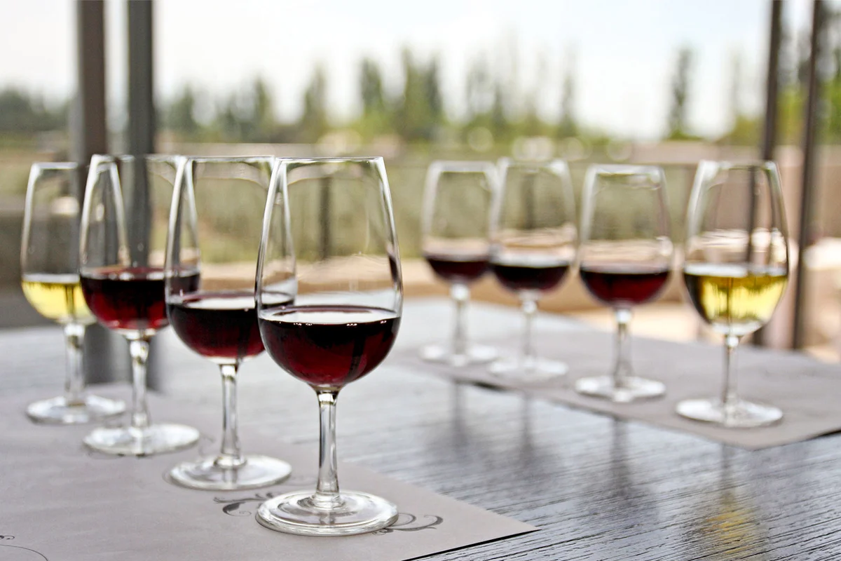 variety of wine on table