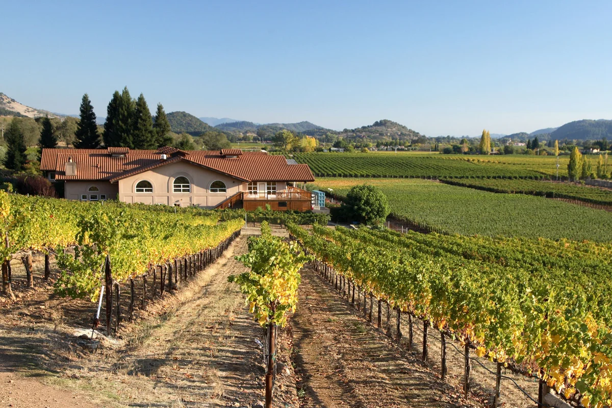 Napa Valley vineyard