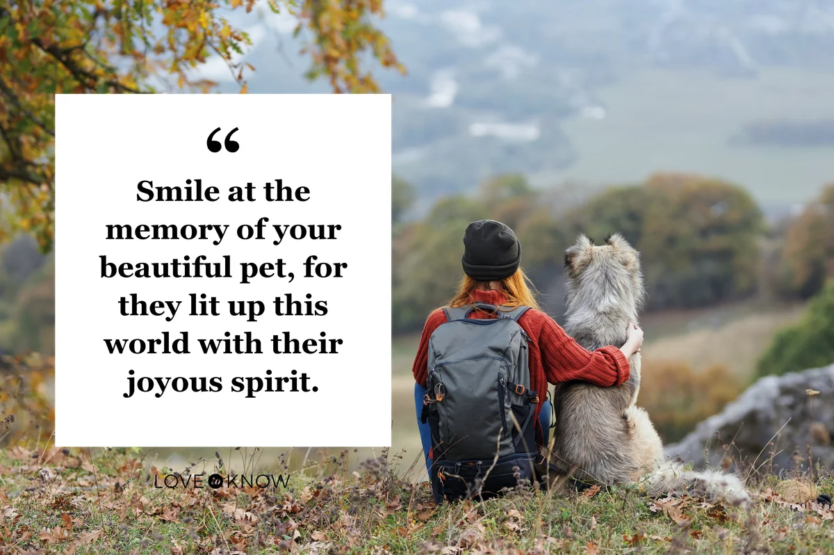Woman sitting dow with a dog during a hike