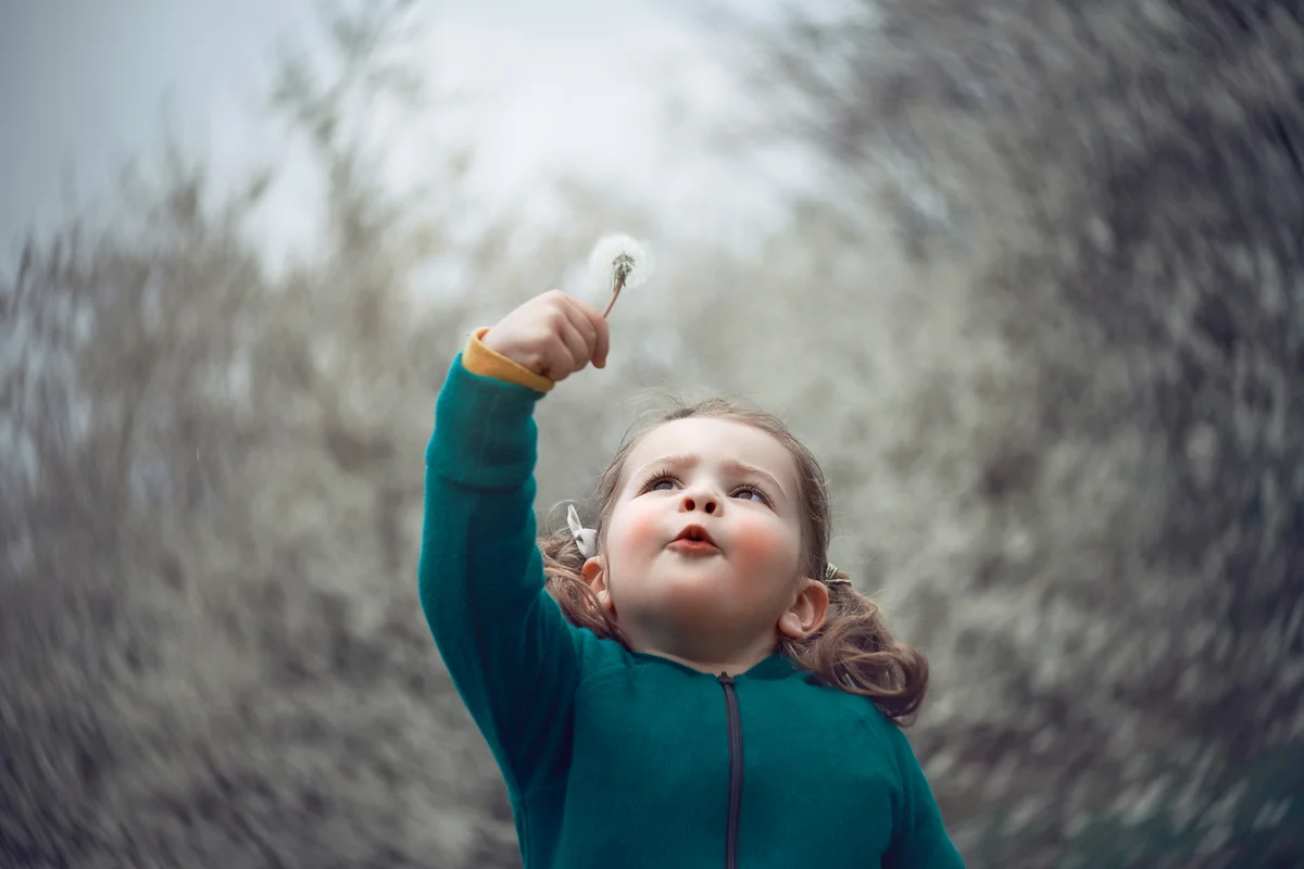 Baby girl with pale skin and rosy cheeks playing with dandelion flower outdoors