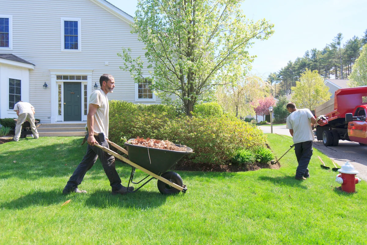 Clearing weeds at a home garden and carrying them away in a wheelbarrow
