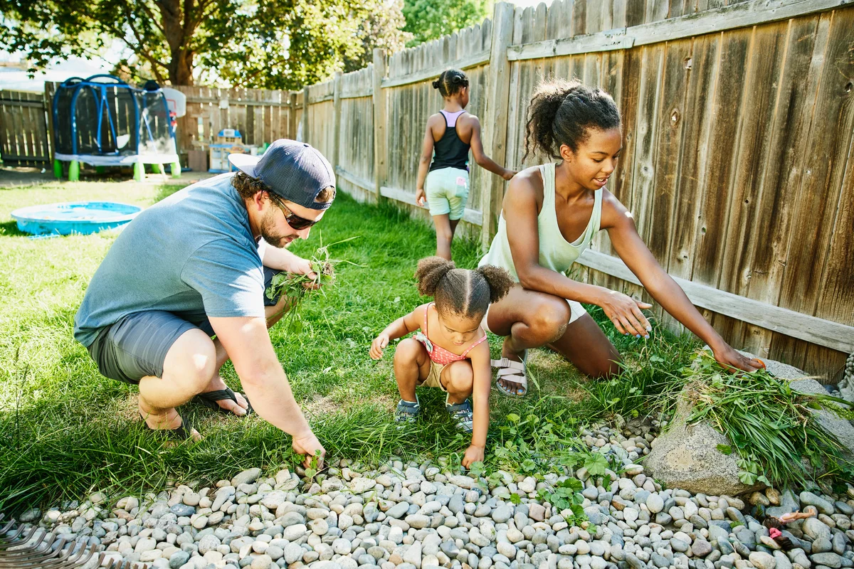 Family pulling weeds in backyard garden