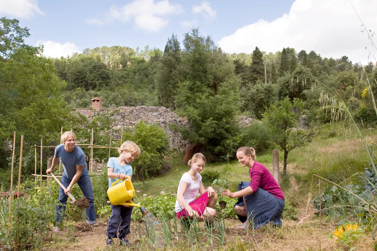 Family of four gardening