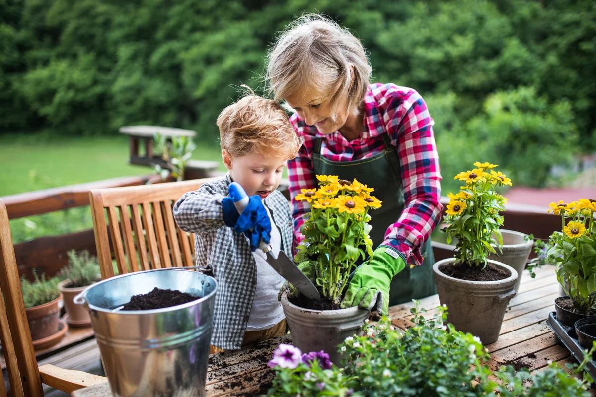 grandmother and grandson planting flowers gardening