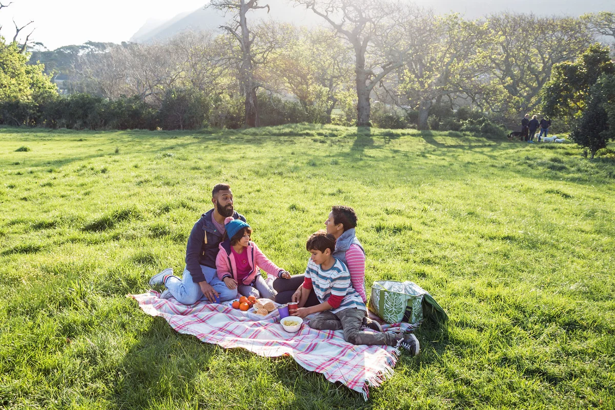 family picnic