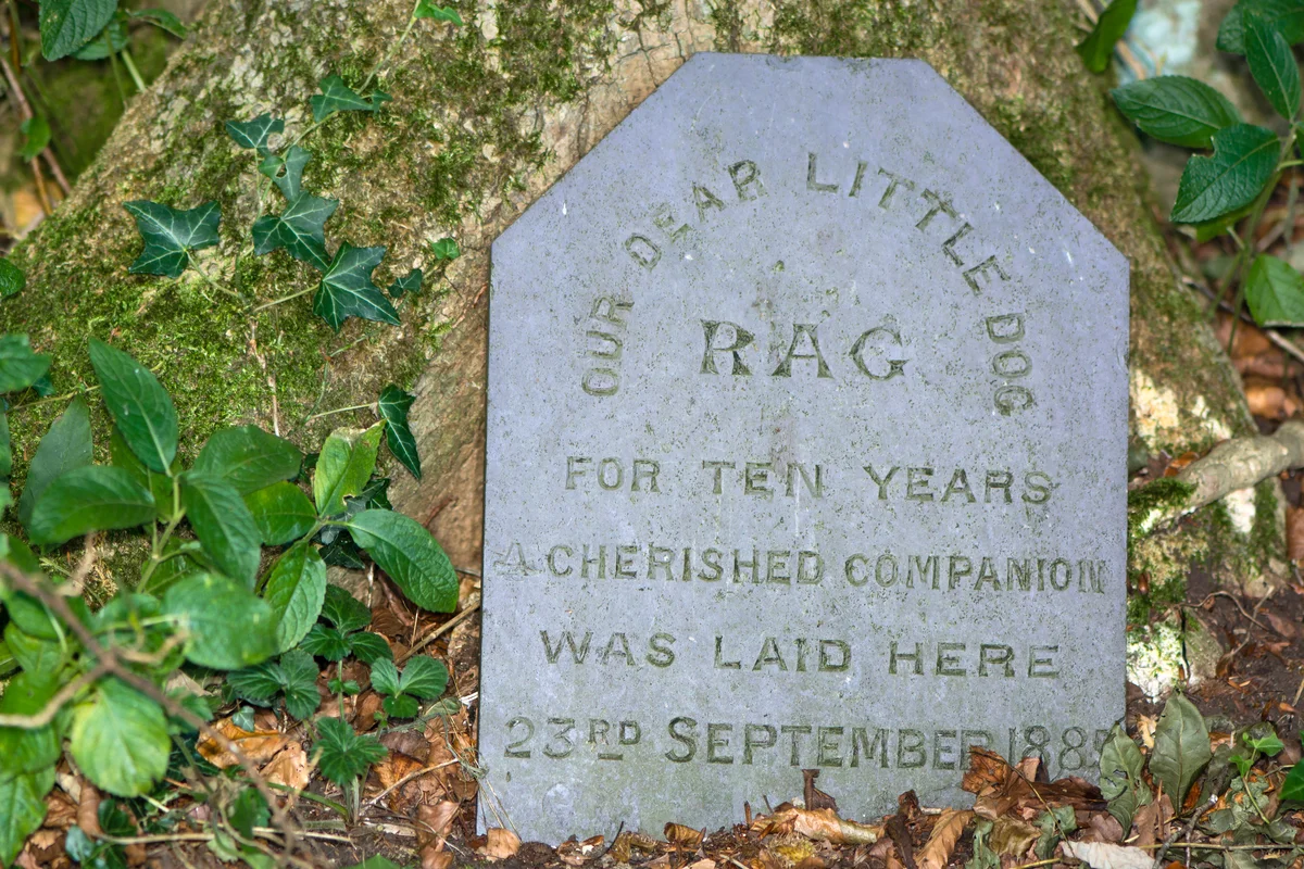 Victorian memorial to a family pet in a British woodland