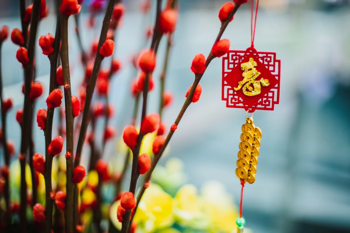 Chinese new year celebration decoration
